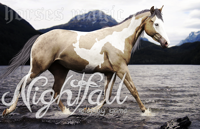 ◊ N I G H T F A L L ~ horses magic! ◊
